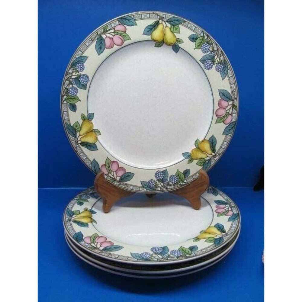 Studio Nova Garden Gallery HG246 Rimmed Dinner Plates 11"  Fruits Bundle of 4